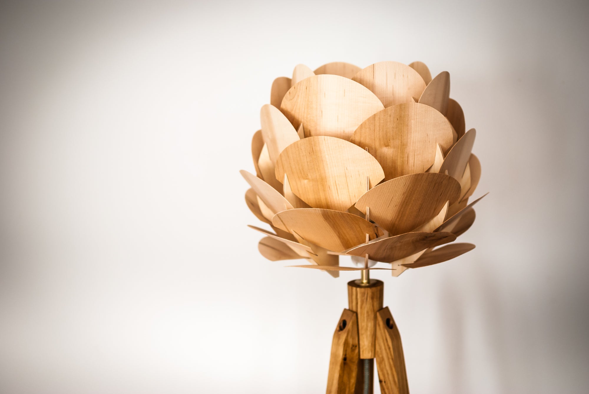 Tripod Stehlampe Holzblüte – Esche