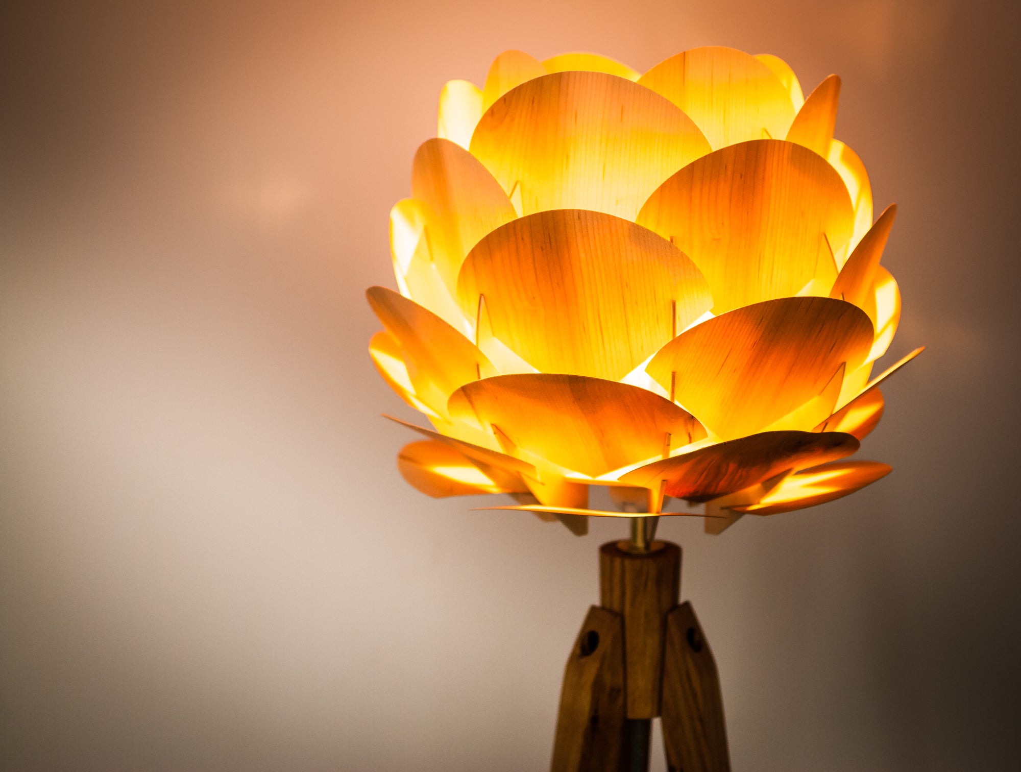 Tripod Stehlampe Holzblüte – Esche