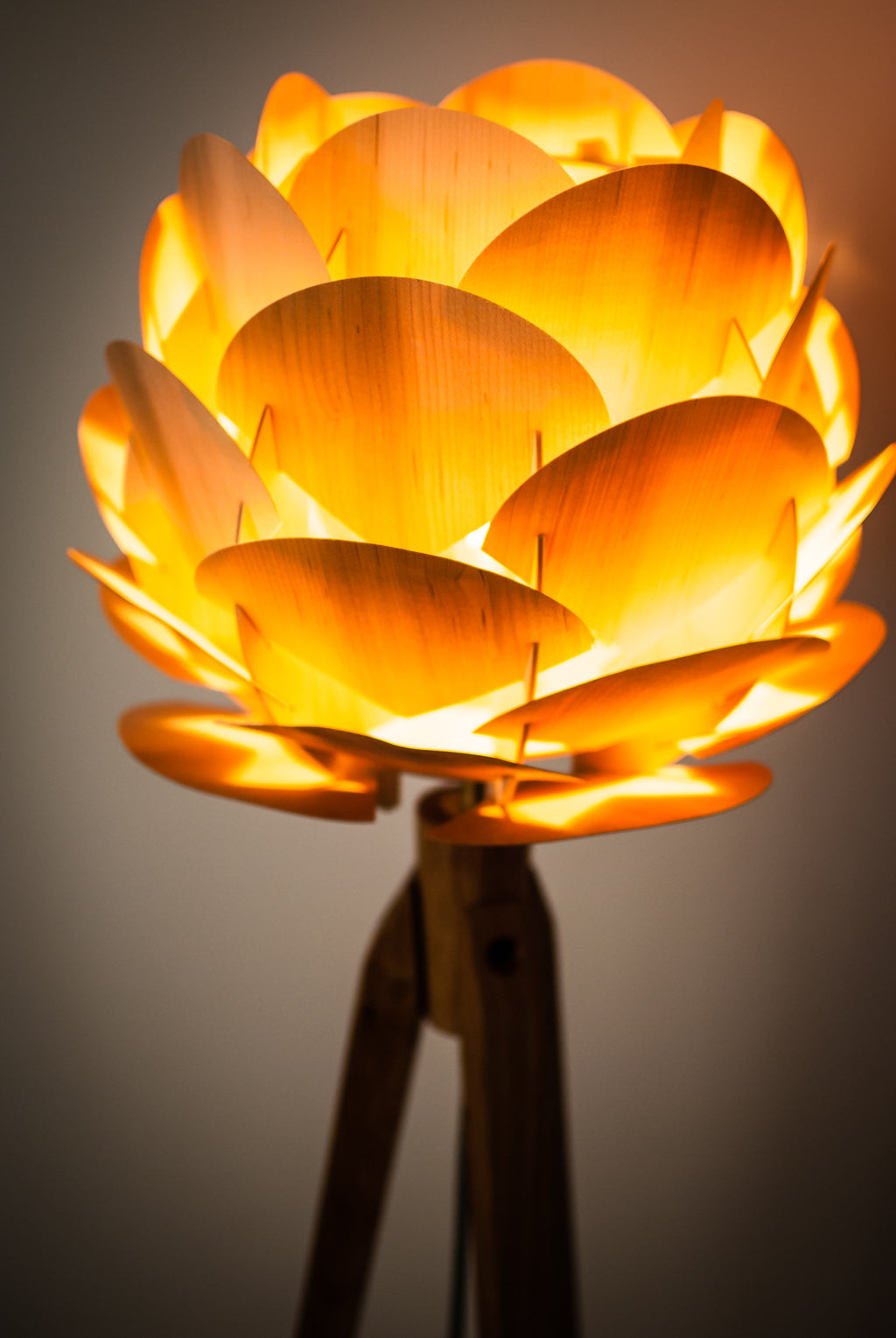 Tripod Stehlampe Holzblüte – Esche